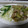 たぉたぉたぉ's cooksnap of when they made セロリと豚のエスニック炒め.