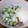 チョイコ's cooksnap of when they made 納豆、おくら、長芋の柚子胡椒 あえ.