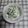 アタックひめちゃん's cooksnap of when they made キュウリの白和え.