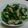 はらっこふー's cooksnap of when they made ＊＊菜の花とあさりのおひたし＊＊.