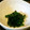 トモスケ's cooksnap of when they made ほうれん草の海苔和え白だしナムル.