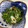 ひなちゃん2号's cooksnap of when they made 超簡単☆菜の花のからし和え.