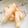 ゆなほむcrea's cooksnap of when they made ひな祭り✿簡単！桃の花びらチュイル✿.