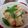 明日歩's cooksnap of when they made 塩麹を使って、塩肉じゃが.
