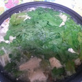 akkoma's cooksnap of when they made ほうれん草と豚バラのみぞれ鍋.