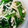 chocoffeel's cooksnap of when they made ほうれん草とえのきのお浸し.