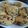 ぺぱ四重奏's cooksnap of when they made チョコチップクッキー＊アメリカン.