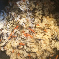 むちょっこ's cooksnap of when they made だしパックを使って簡単ひじきごはん♪.
