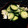 myacooking's cooksnap of when they made ズボラ！きゅうりとネギのごま油あえ.