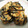 はなむちゃむ's cooksnap of when they made 簡単♪とりの蓮根とひじきのつくね♪.
