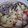 アカオ's cooksnap of when they made 実家の味★　簡単割り下　我が家のすき焼き.