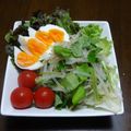 りこまこせいやのパパ's cooksnap of when they made もやしと三ツ葉でサラダ.
