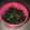 クック12QZCB☆'s cooksnap of when they made 簡単♪大根葉ふりかけ.