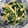 cocopirica's cooksnap of when they made ほうれん草ともやしの中華風ゴマ和え.