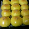 seeba's cooksnap of when they made ころころ♪かぼちゃ丸ぱん.