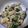 クックPM5RG5☆'s cooksnap of when they made 簡単☆豚肉とにらのチャンプルー.