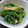 やぎ座のひつじ's cooksnap of when they made 菜花とエリンギのゆず胡椒和え.