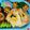 cake＊mama's cooksnap of when they made キャラ弁☆ポケモン☆メガリザードンＹ.