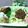 キョク's cooksnap of when they made 肉味噌.