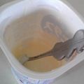 ごりあちゃん's cooksnap of when they made 粉ミルクで!?濃厚リッチなヨーグルト.