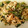 やすらー's cooksnap of when they made 小松菜と切り干し大根炒め.