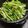 TAKEMI★'s cooksnap of when they made やみつき！水菜とじゃこのはりはりサラダ.