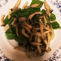 でみ桜's cooksnap of when they made ヘルシー＊ピーマンとしめじ炒め.