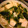 イタチョカ's cooksnap of when they made はなびし草の豆腐とほうれん草の卵とじ.