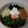 ♪♡さくら♡♪'s cooksnap of when they made 絶対美味しい♬納豆おろしそば☆.