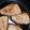 ユキ9595's cooksnap of when they made ぶりの照り焼き.