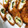 クック8FU3IF☆'s cooksnap of when they made ささみと大葉のフライ.