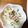 riepon９２１４'s cooksnap of when they made 大根サラダ.