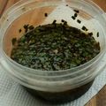 pupamas's cooksnap of when they made 【たれ】にらしょうゆ漬け.