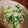 まんまるころん's cooksnap of when they made 塩もみ大根の大葉和え.