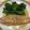 かまたびみ's cooksnap of when they made カラスカレイの煮付け.