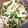 ゆみゆみ★'s cooksnap of when they made 豚の柳川（豚とごぼうの卵とじ）.