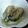 クックTEF1QP☆'s cooksnap of when they made 牡蠣のオイル漬け.