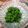mihane9265's cooksnap of when they made 菜の花のごま和え.