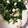 ✳︎まるり✳︎'s cooksnap of when they made ほうれん草とエリンギとクリームチーズ炒め.
