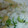 Manaたんママ's cooksnap of when they made せりとたくあんのふりかけでお花畑風ご飯.
