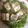 さおにゃんこ✨'s cooksnap of when they made 豆腐サラダ.