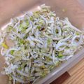 みにさき's cooksnap of when they made 夏にさっぱり しらすご飯.