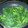 ふくれっこ's cooksnap of when they made 簡単★ほうれん草を茹でずにおひたし.