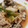 Neroli315's cooksnap of when they made ふっくら牡蠣のねぎ蒸し.