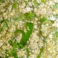 Efamily's cooksnap of when they made ピーマン春雨★簡単★.