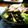 inyako's cooksnap of when they made 緑いっぱいのサラダ.