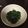 tomomani's cooksnap of when they made ほうれん草の胡麻和え.