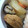 コウセイママ's cooksnap of when they made 魚河岸あげと大根のころころ煮.