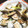 クック8FU3IF☆'s cooksnap of when they made はまぐりと白菜の酒蒸し◆簡単！.