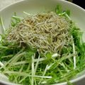 gomaneko's cooksnap of when they made 水菜のサラダ＊柚子胡椒ドレッシング.